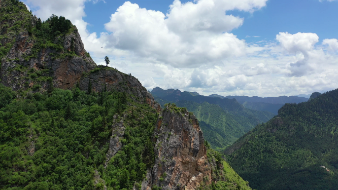 甘肃甘南州迭部县扎尕那峡谷森林植被山脉