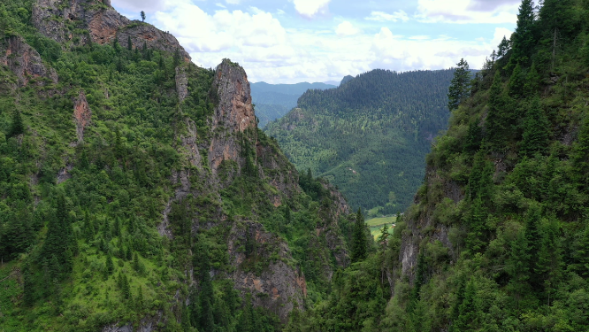 甘肃甘南州迭部县扎尕那峡谷森林植被山脉