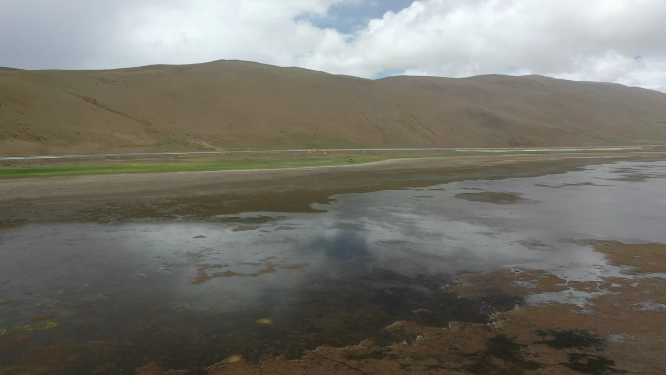  西藏山南哲古湖哲古草原湿地自然风光