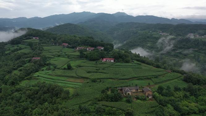 原创 湖北襄阳市梯田乡村田园山区自然风光