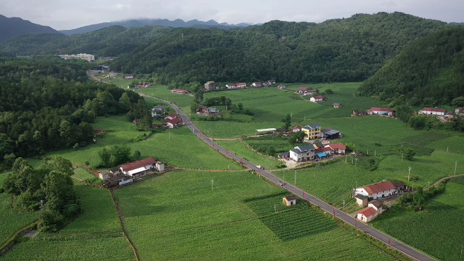 湖北宜昌市兴山县郭家店乡村田野自然风光