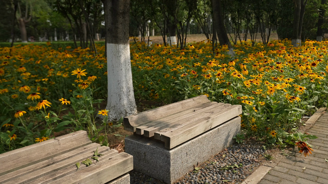 花海 北京西山