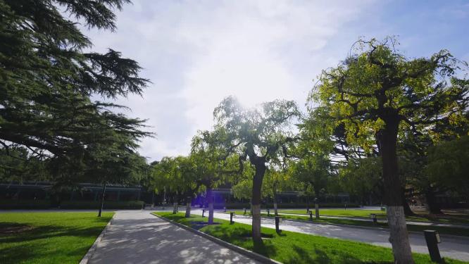 绿树枫叶御花园