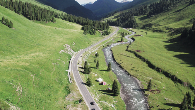 草原森林道路溪流美景