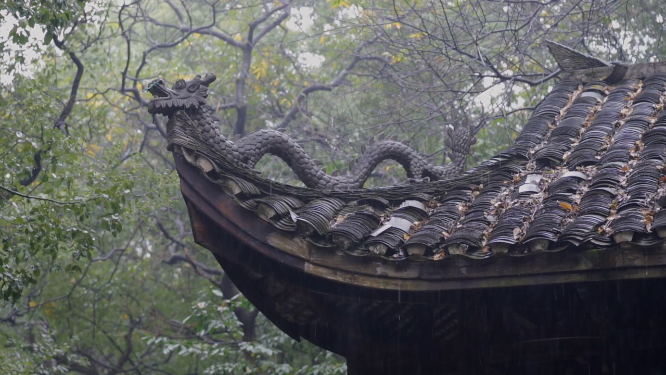 下雨清新空镜唯美雨景合集素材