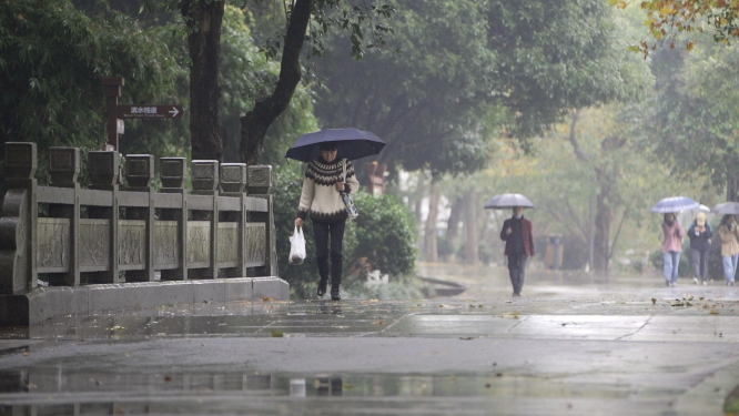 公园里雨中散步的行人
