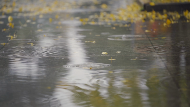 地面积水雨滴银杏落叶伤感素材 
