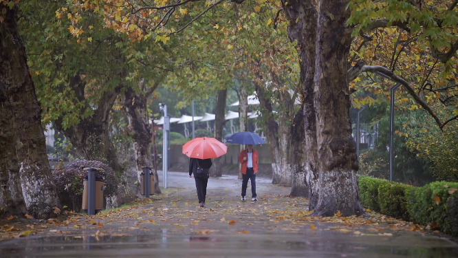 秋意落叶雨中的行人 
