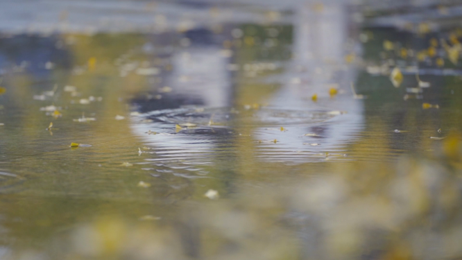 雨天水滴落叶脚步倒影伤感素材