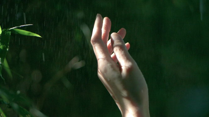 女孩伸手感受雨滴，抚摸竹叶感受大自然视频