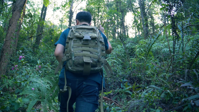 男性登山爱好者爬山，原始森林探险4k视频