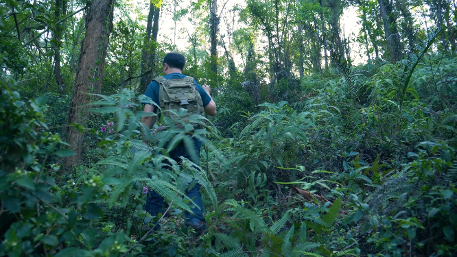 男性登山爱好者爬山，原始森林探险4k视频