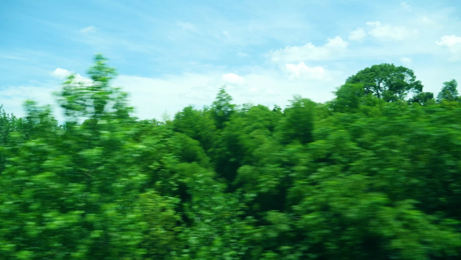 高铁动车火车窗外田野风景4k视频素材