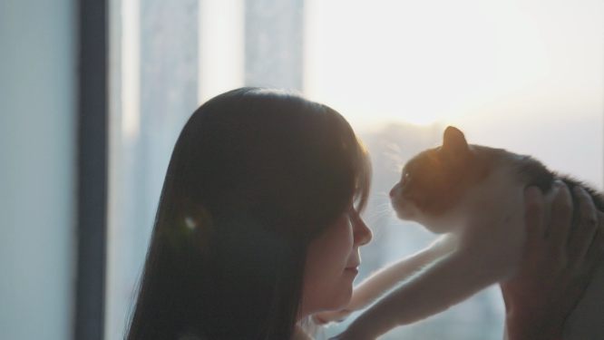 女孩在夕阳下的窗边与猫咪玩耍4k视频素材