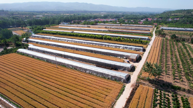 河南三门峡城市工厂建筑