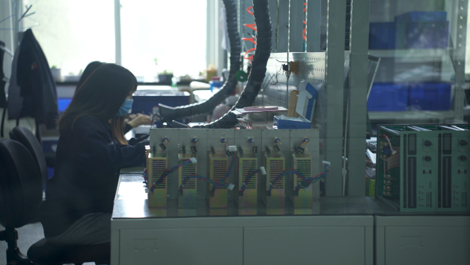 河南三门峡工厂手工加工