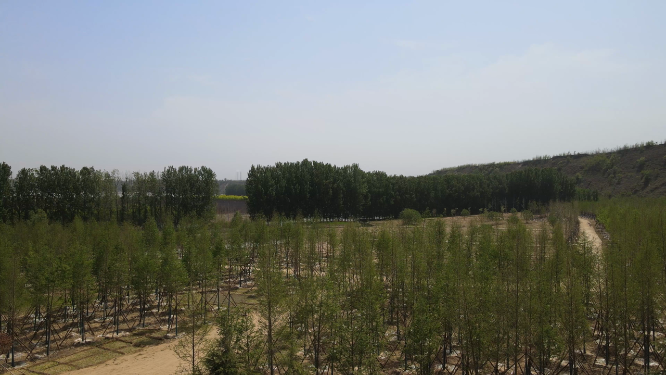 河南三门峡黄河生态廊道航拍