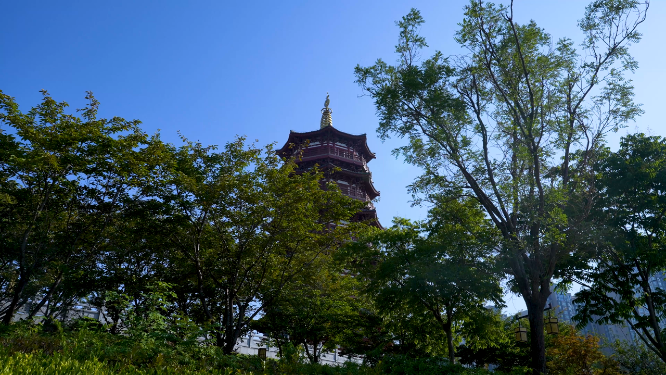 河南洛阳八小景之一 瀍壑朱樱