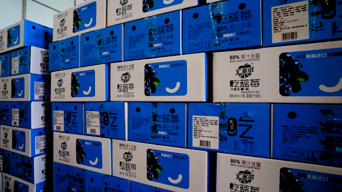 饮料生产线：一线工作 轻工业流水线