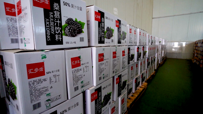饮料生产线：一线工作 轻工业流水线