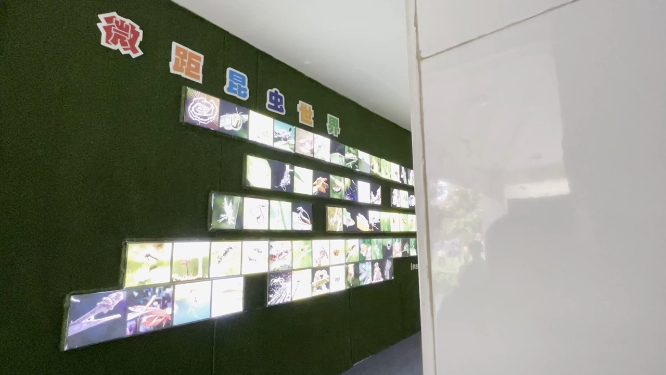 河南三门峡市实验小学场景拍摄