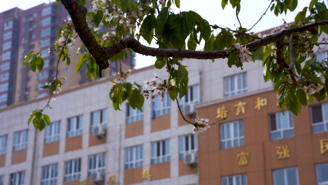 河南三门峡市实验小学场景拍摄