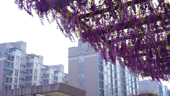 河南三门峡市实验小学场景拍摄