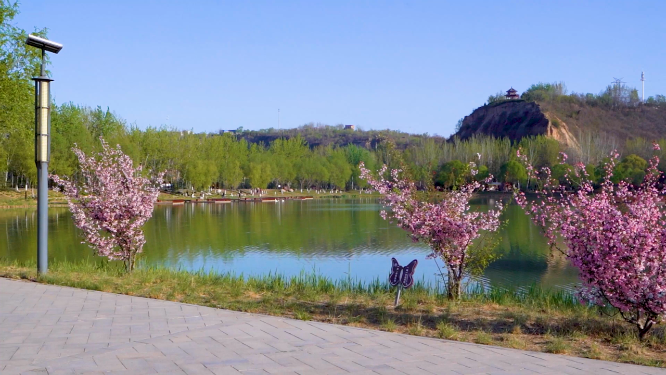 河南三门峡黄河生态廊道风景拍摄