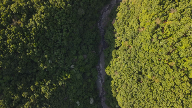 河南山林风景拍摄