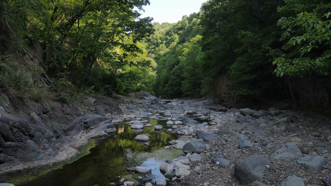 河南山林风景拍摄