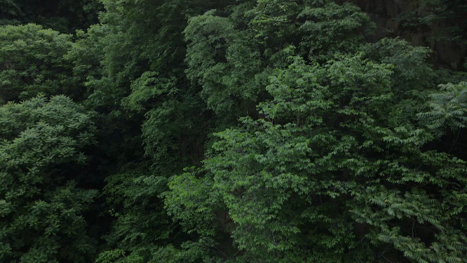 河南山林风景拍摄