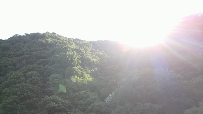河南山林风景拍摄