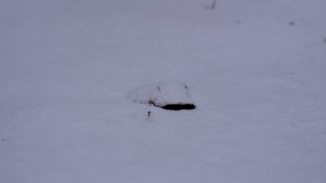 冬天雪景里的脚部近景拍摄