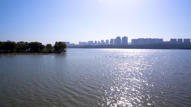 湖面阳光