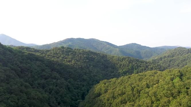 山水