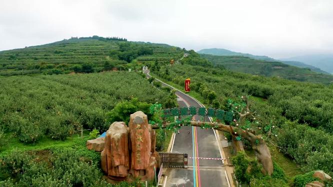 果园种植基地
