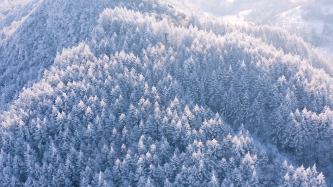 4k航拍恩施雪山雾凇风光