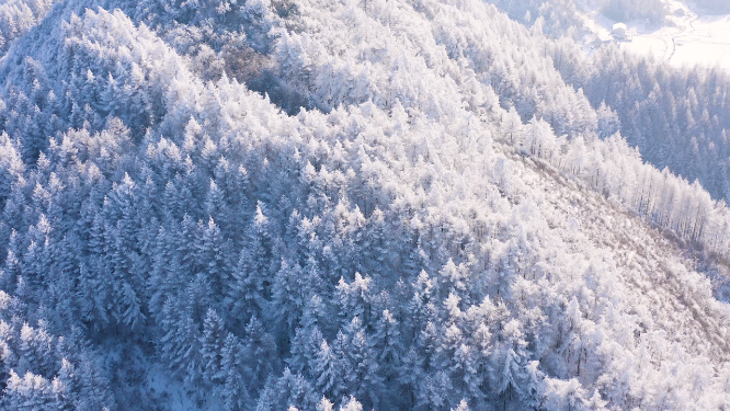 4k航拍恩施雪山雾凇风光