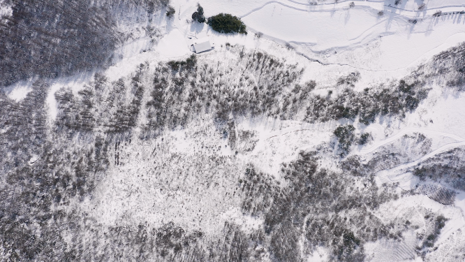 4k航拍恩施雪山雾凇风光