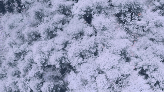 4k航拍恩施雪山雾凇风光