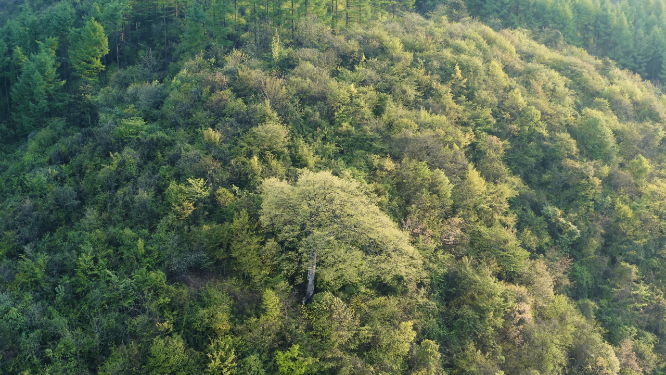 航拍峡谷山脊地形