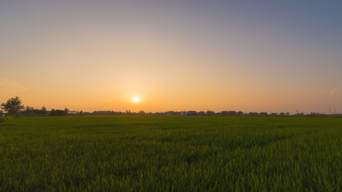乡村田野夕阳延时摄影