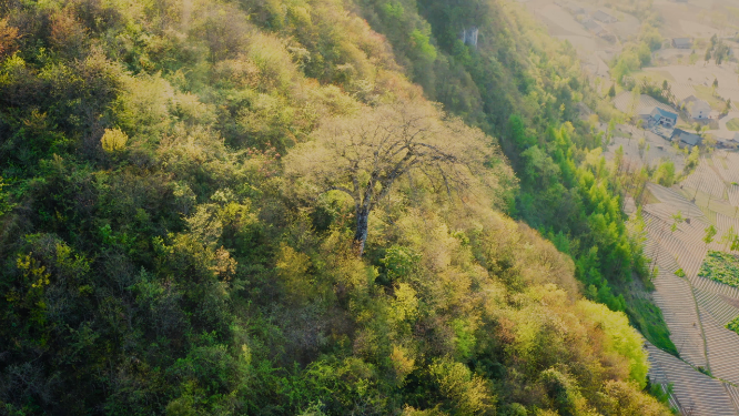 航拍峡谷山脊地形