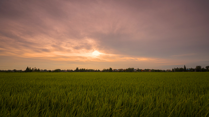 乡村田野夕阳延时摄影