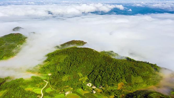 4k航拍峡谷云海素材