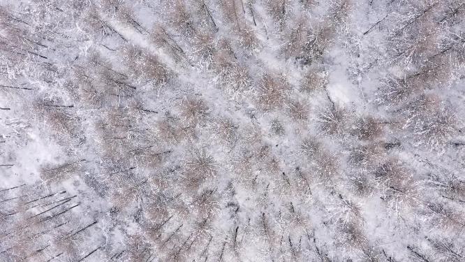 4k航拍恩施雪山雾凇