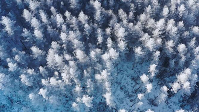 4k航拍恩施雪山雾凇