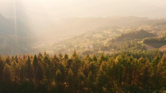 4k航拍山村森林