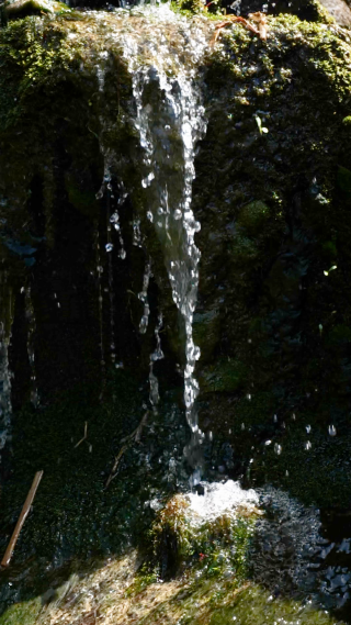 湍急水流