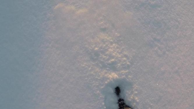 男子在雪地上行走寒冷温度冰冻霜冻